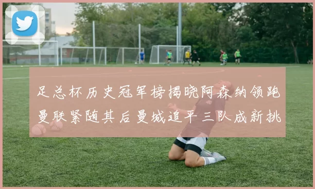 足总杯历史冠军榜揭晓阿森纳领跑曼联紧随其后曼城追平三队成新挑战